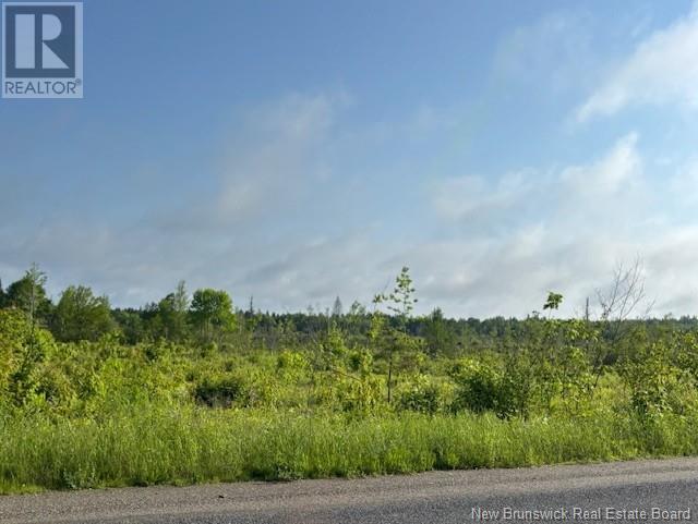 000 Upper Tower Hill Road, Tower Hill, New Brunswick E5A 2P3 - Photo 10 - NB120589