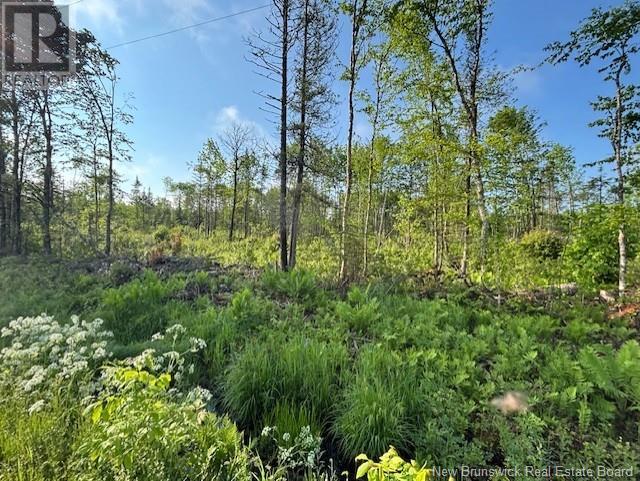 000 Upper Tower Hill Road, Tower Hill, New Brunswick E5A 2P3 - Photo 2 - NB120589