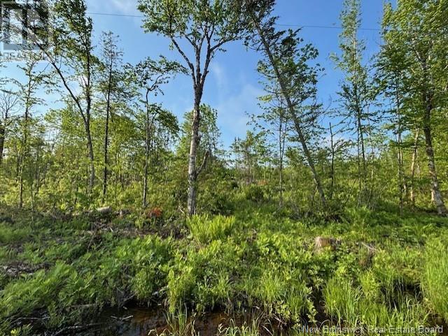 000 Upper Tower Hill Road, Tower Hill, New Brunswick E5A 2P3 - Photo 3 - NB120589
