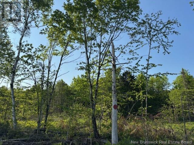 000 Upper Tower Hill Road, Tower Hill, New Brunswick E5A 2P3 - Photo 4 - NB120589