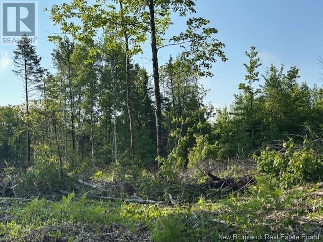 000 Upper Tower Hill Road, Tower Hill, New Brunswick E5A 2P3 - Photo 5 - NB120589