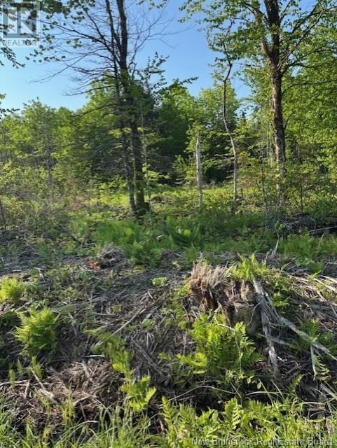 000 Upper Tower Hill Road, Tower Hill, New Brunswick E5A 2P3 - Photo 6 - NB120589