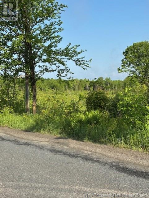 000 Upper Tower Hill Road, Tower Hill, New Brunswick E5A 2P3 - Photo 8 - NB120589