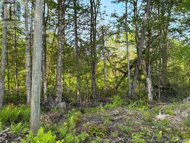 000 Upper Tower Hill Road, Tower Hill, New Brunswick E5A 2P3 - Photo 9 - NB120589