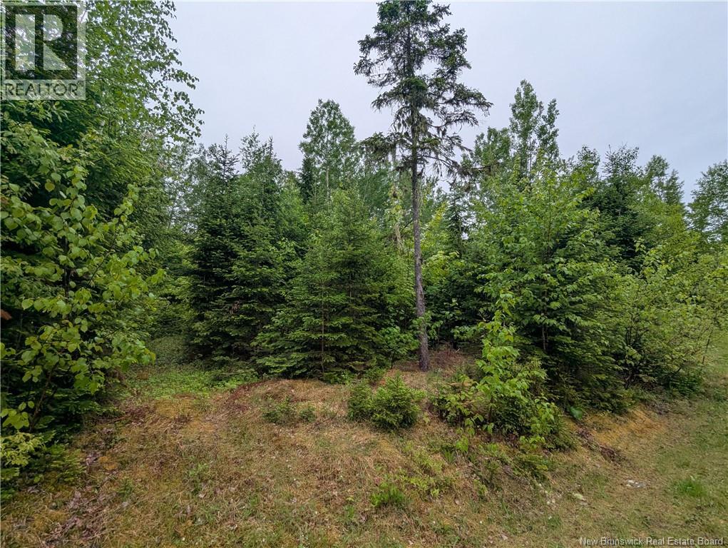 129 Rang 7 Et 8 Road, Kedgwick Nord, New Brunswick E8B 1V8 - Photo 15 - NB120596