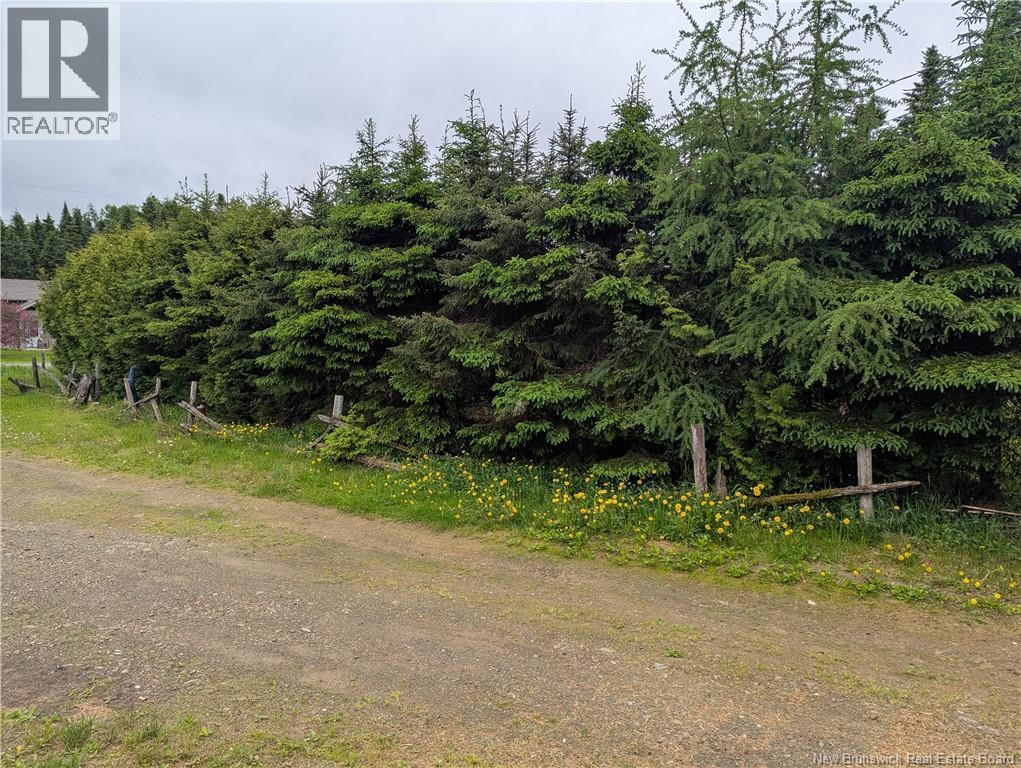 129 Rang 7 Et 8 Road, Kedgwick Nord, New Brunswick E8B 1V8 - Photo 19 - NB120596