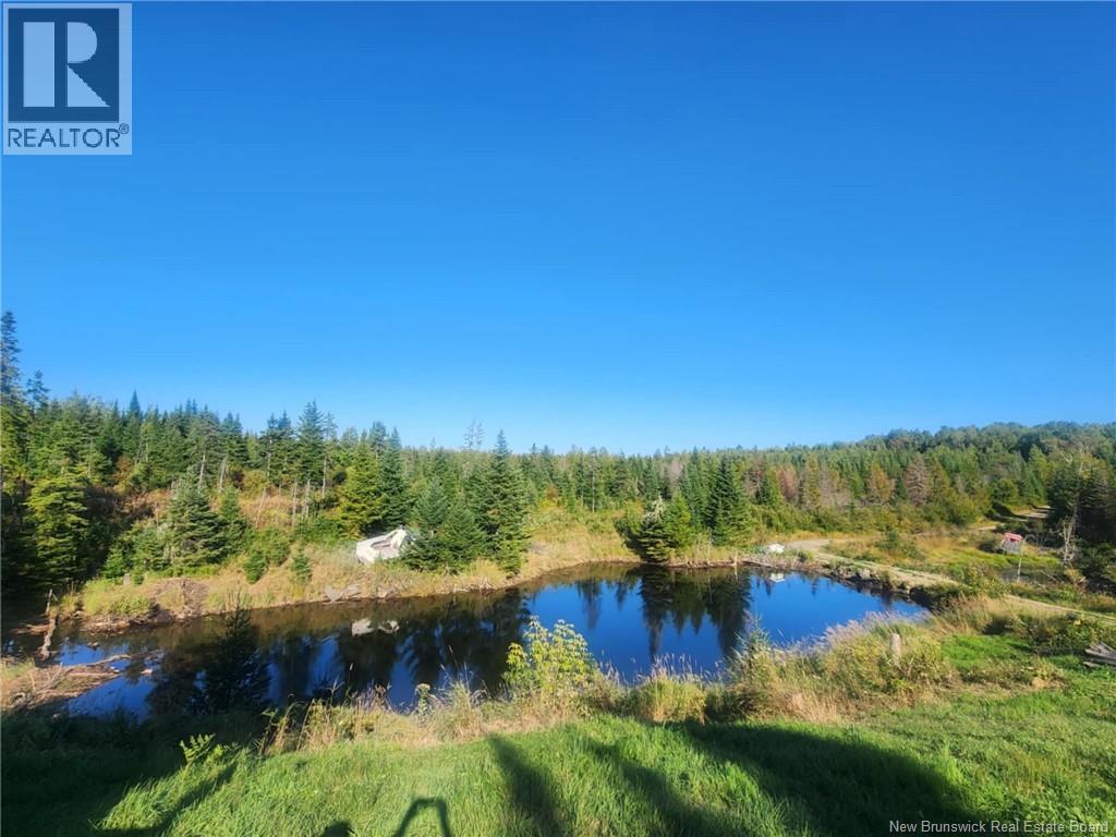 129 Rang 7 Et 8 Road, Kedgwick Nord, New Brunswick E8B 1V8 - Photo 40 - NB120596