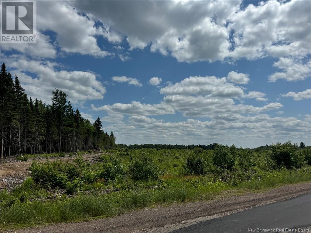 Vacant Lot Murray Road, Browns Yard, New Brunswick  E4T 1W3 - Photo 2 - NB120533