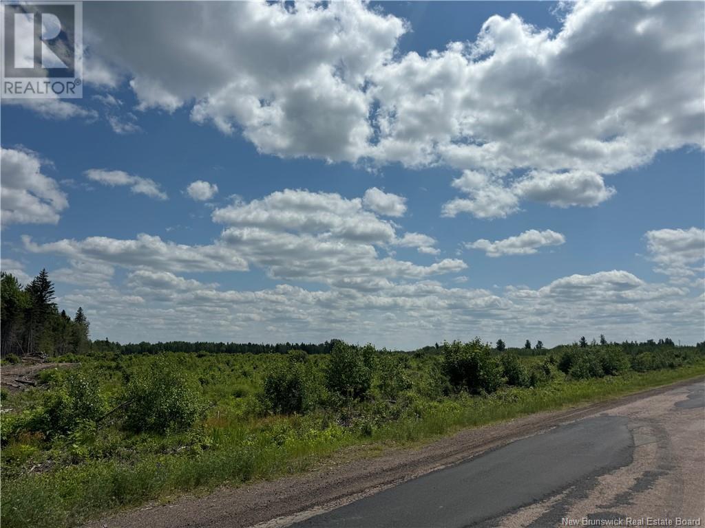 Vacant Lot Murray Road, Browns Yard, New Brunswick  E4T 1W3 - Photo 3 - NB120533
