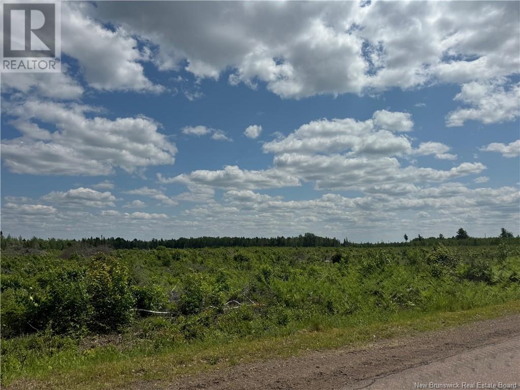 Vacant Lot Murray Road, Browns Yard, New Brunswick  E4T 1W3 - Photo 4 - NB120533