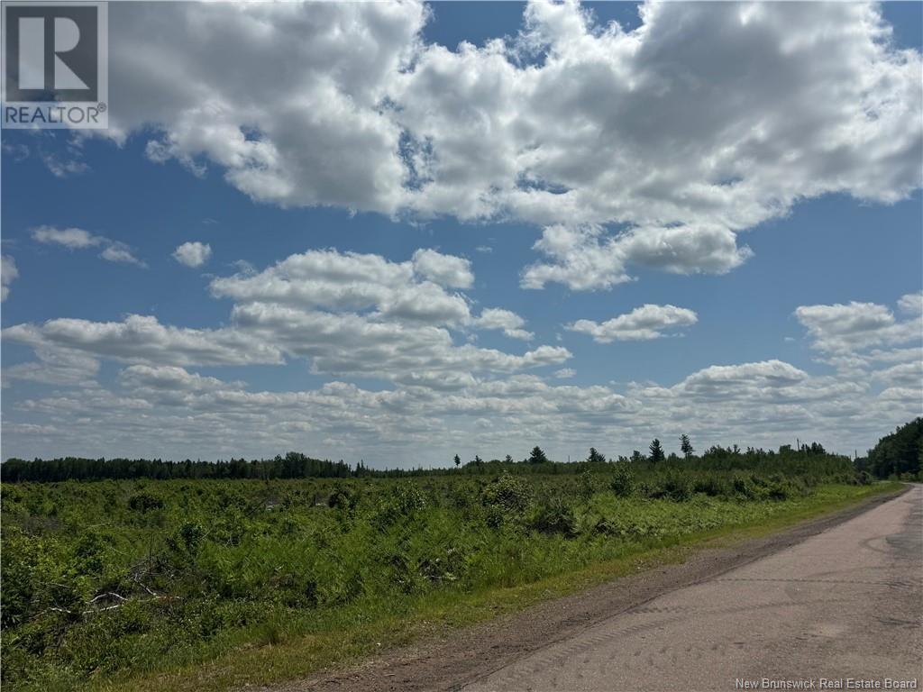 Vacant Lot Murray Road, Browns Yard, New Brunswick  E4T 1W3 - Photo 5 - NB120533