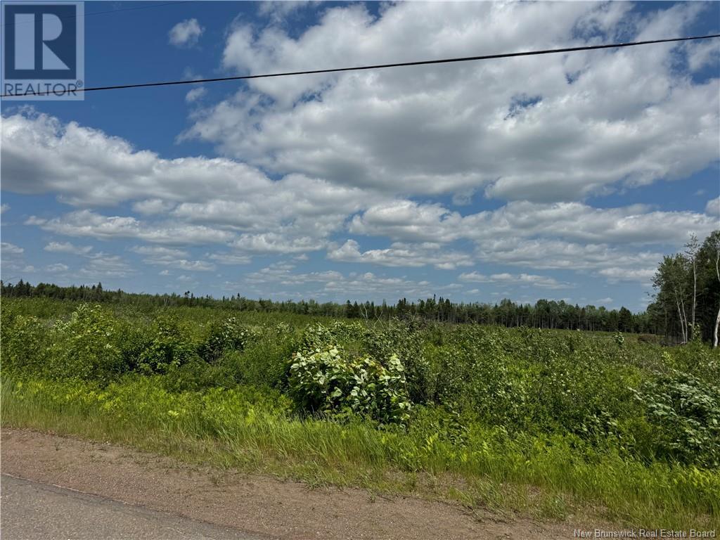 Vacant Lot Murray Road, Browns Yard, New Brunswick  E4T 1W3 - Photo 6 - NB120533
