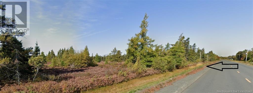 Lot Rte 117, Hardwicke, New Brunswick  E9A 1J9 - Photo 3 - NB120696