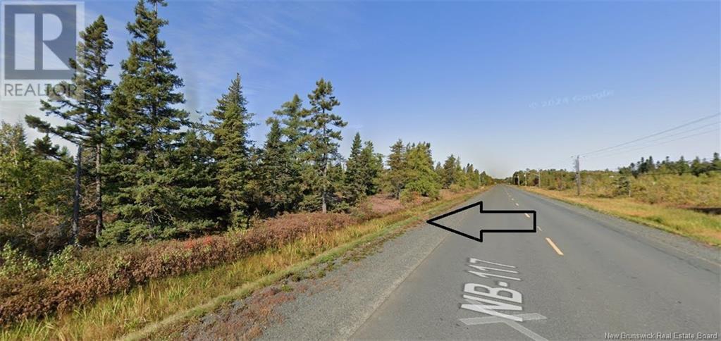 Lot Rte 117, Hardwicke, New Brunswick  E9A 1J9 - Photo 4 - NB120696