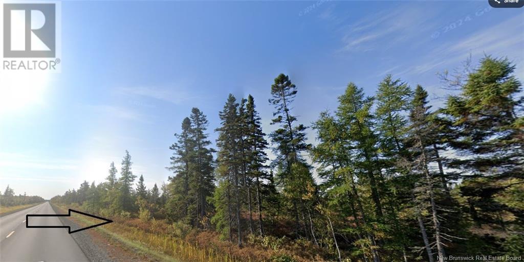 Lot Rte 117, Hardwicke, New Brunswick  E9A 1J9 - Photo 5 - NB120696