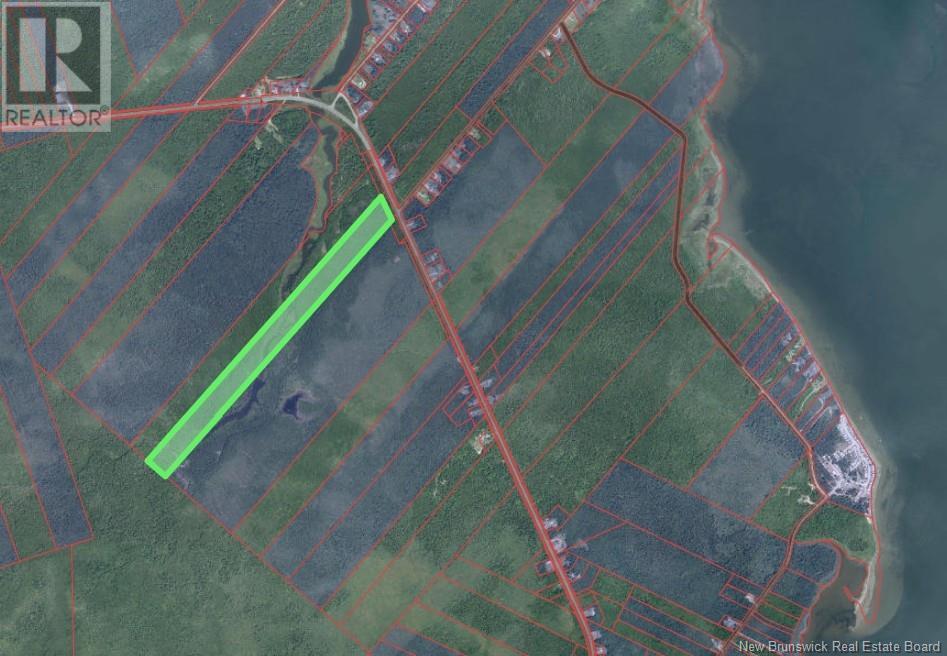 Lot Rte 117 Hardwicke, Hardwicke, New Brunswick  E9A 1J9 - Photo 3 - NB120701