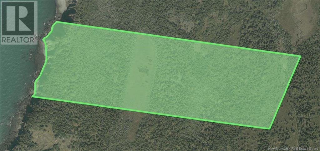 Bradford Cove, Grand Manan, New Brunswick  E5G 3H8 - Photo 2 - NB120706