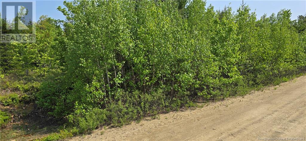 4046sm Rue Noemie, Pointe-À-Tom, New Brunswick E1X 3X4 - Photo 3 - NB120608