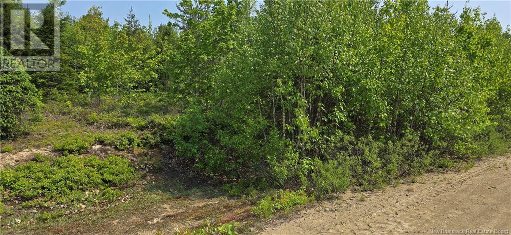 4046sm Rue Noemie, Pointe-À-Tom, New Brunswick E1X 3X4 - Photo 4 - NB120608