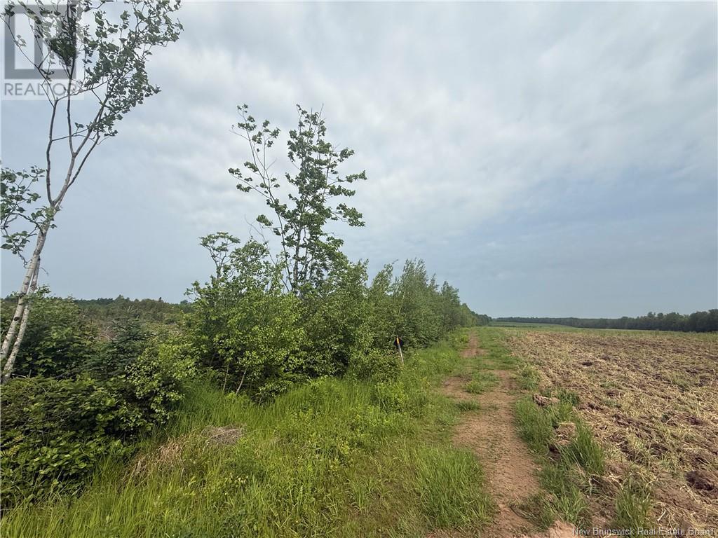 Lot Saint-Damien Road, Sainte-Marie-De-Kent, New Brunswick