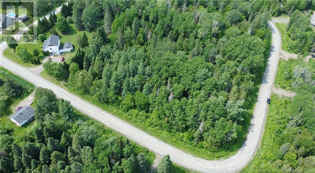 Lot Leonard Street, Dundee, New Brunswick  E8E 1W6 - Photo 2 - NB120745