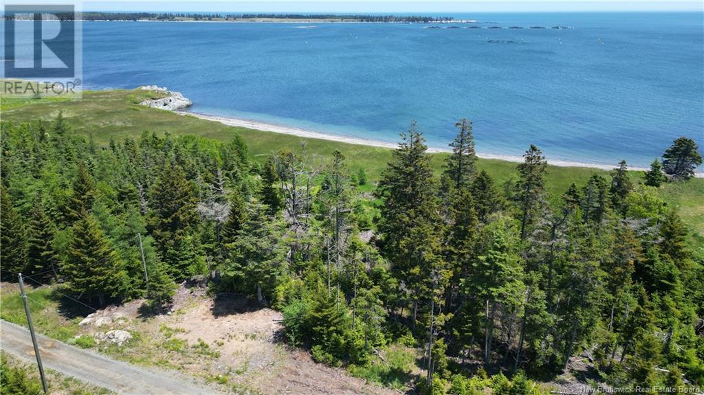 Bancroft Point Road, Grand Manan, New Brunswick E5G 3C9 - Photo 8 - NB120773