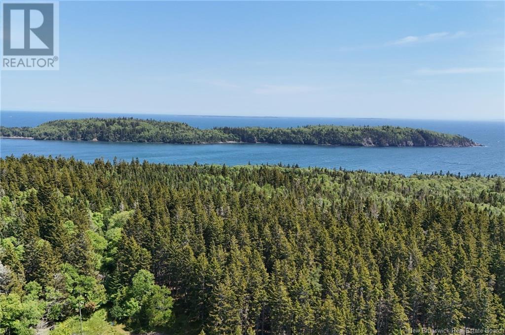 5 Wallace Cove Road, Blacks Harbour, New Brunswick  E5H 1G9 - Photo 50 - NB121004