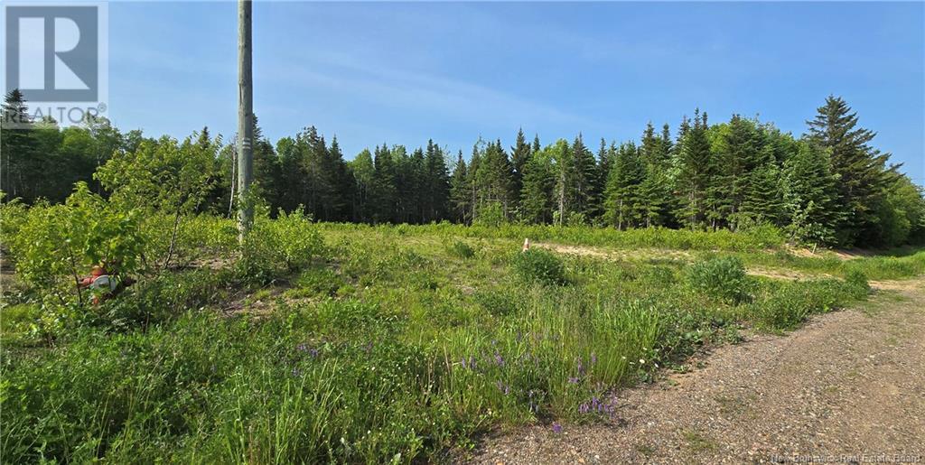 1207sm Rue Pascal, Canton Des Basques, New Brunswick