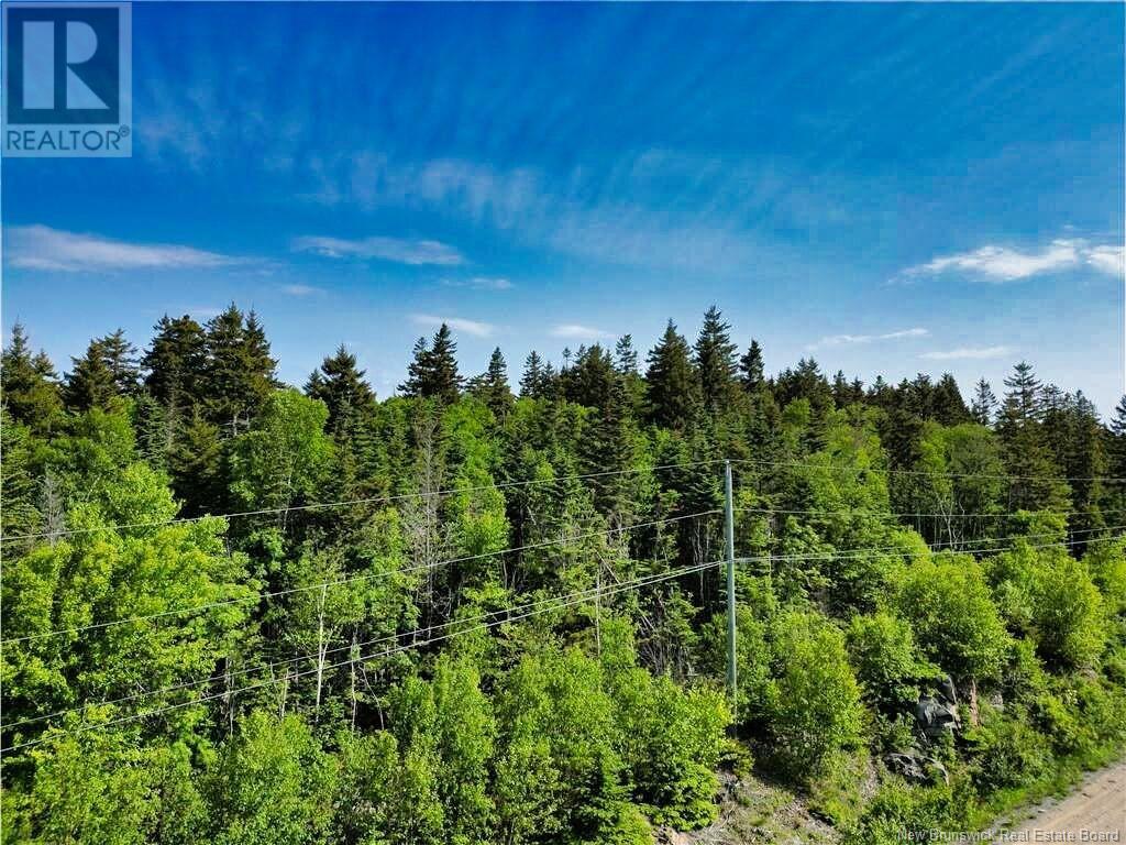 86-112 Fundy Drive, Wilsons Beach, New Brunswick  E5E 1X2 - Photo 2 - NB121070