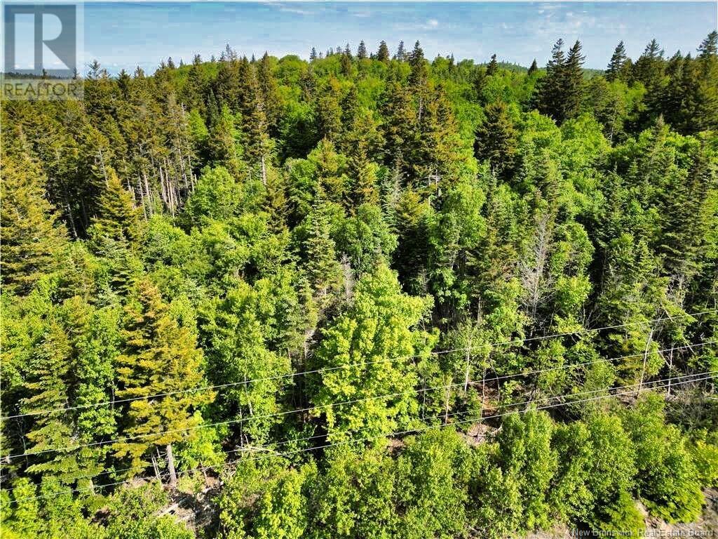 86-112 Fundy Drive, Wilsons Beach, New Brunswick  E5E 1X2 - Photo 4 - NB121070