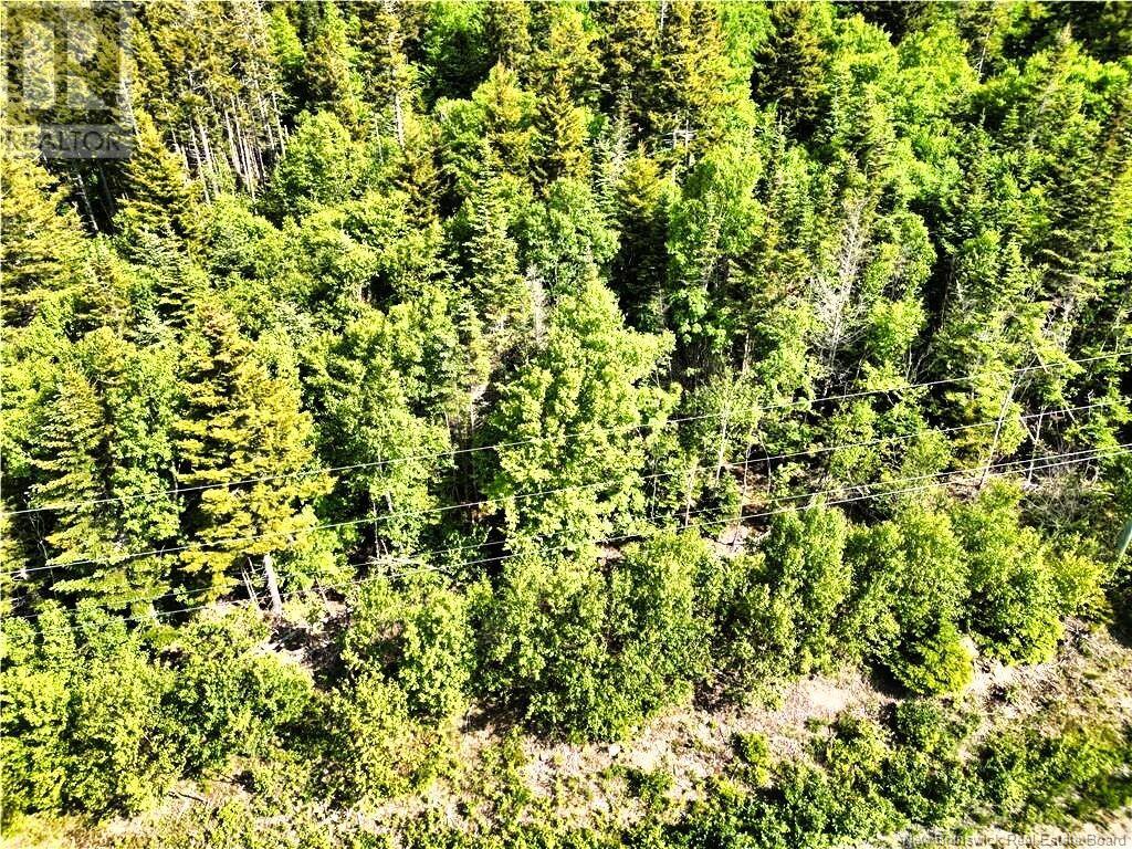 86-112 Fundy Drive, Wilsons Beach, New Brunswick  E5E 1X2 - Photo 5 - NB121070