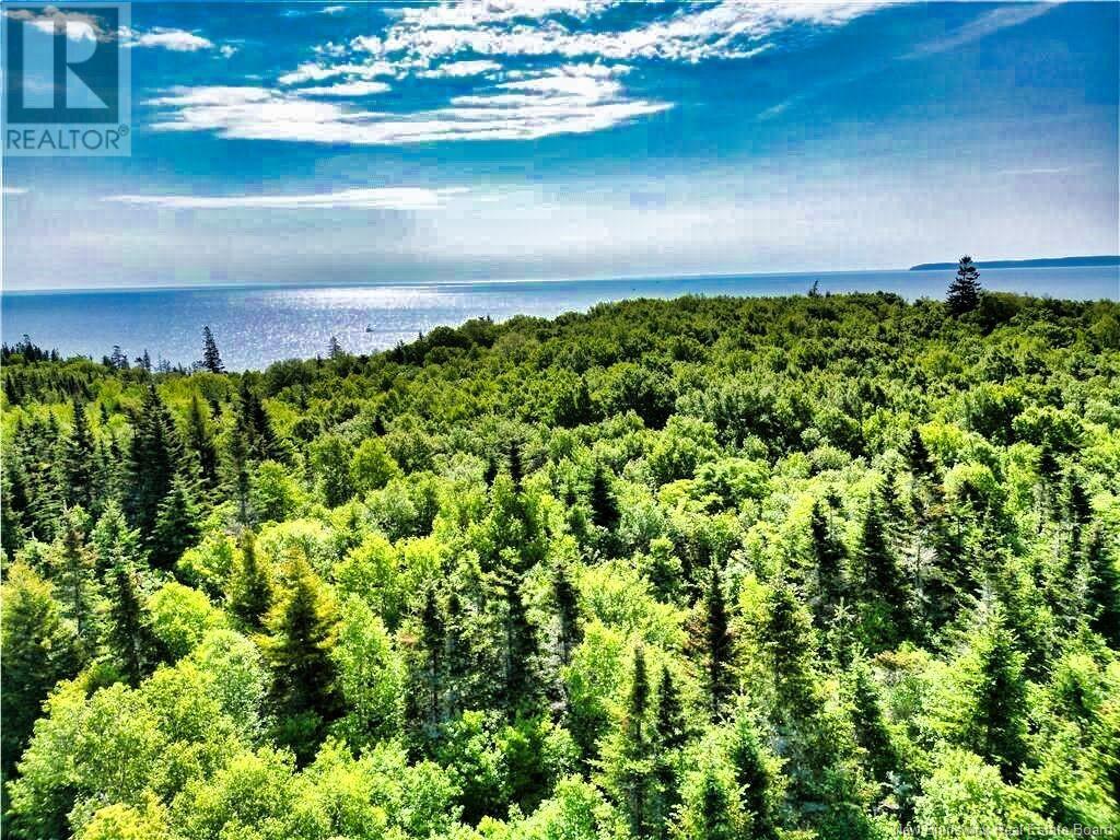 86-112 Fundy Drive, Wilsons Beach, New Brunswick  E5E 1X2 - Photo 6 - NB121070