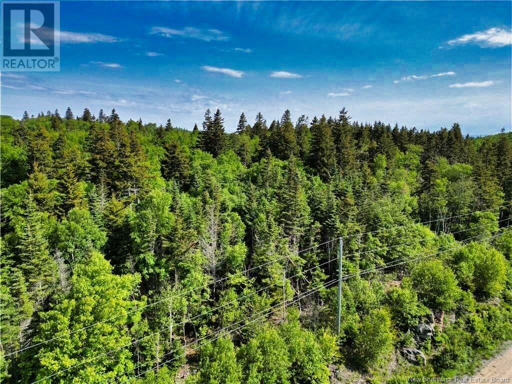 86-112 Fundy Drive, Wilsons Beach, New Brunswick  E5E 1X2 - Photo 7 - NB121070