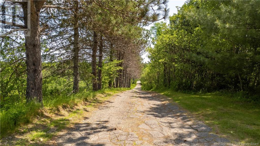9076 Route 3, Old Ridge, New Brunswick E3L 4X1 - Photo 47 - NB121120