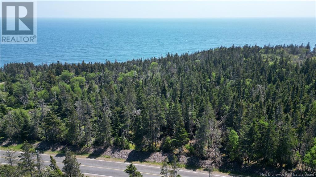 Lot 01-07 Route 776, Grand Manan, New Brunswick E5G 4K5 - Photo 13 - NB121191