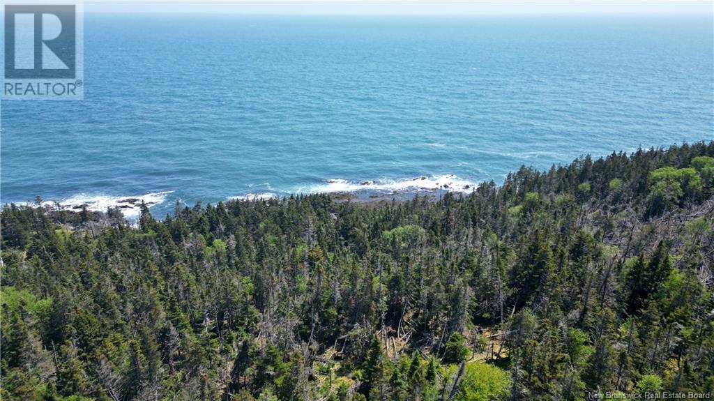Lot 01-07 Route 776, Grand Manan, New Brunswick E5G 4K5 - Photo 14 - NB121191