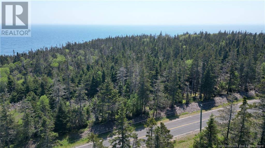 Lot 01-07 Route 776, Grand Manan, New Brunswick E5G 4K5 - Photo 16 - NB121191