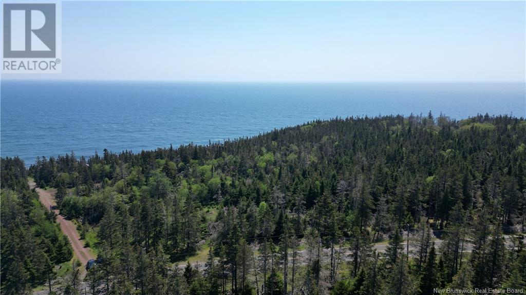 Lot 01-07 Route 776, Grand Manan, New Brunswick E5G 4K5 - Photo 6 - NB121191