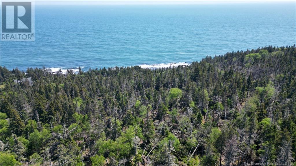 Lot 01-07 Route 776, Grand Manan, New Brunswick E5G 4K5 - Photo 7 - NB121191