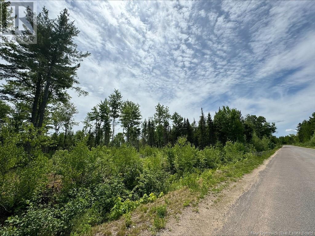 Lot Sunset View Lane, Cumberland Bay, New Brunswick E4A 3L9 - Photo 5 - NB120920
