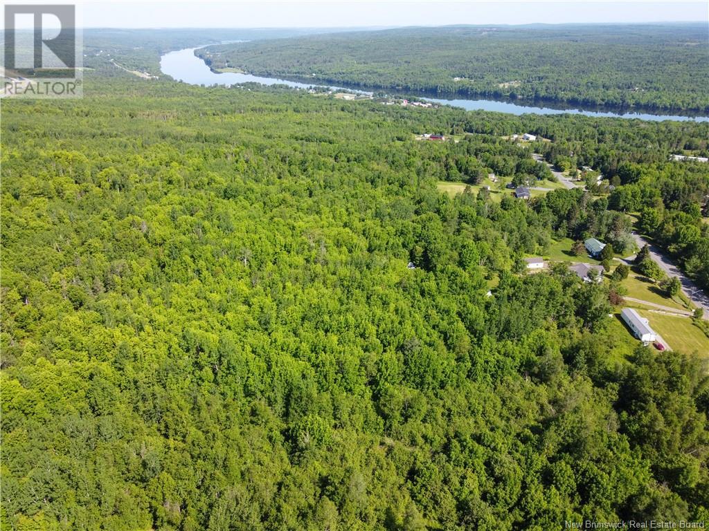 Lot 165 Route, Meductic, New Brunswick E6H 1B4 - Photo 11 - NB120769