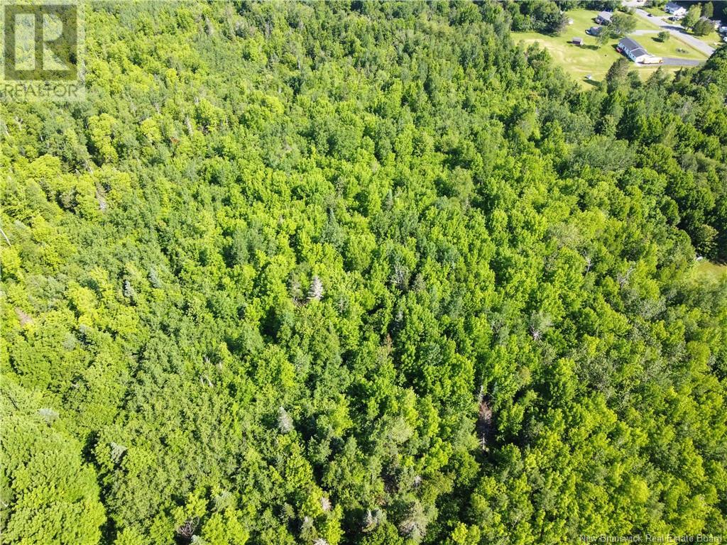 Lot 165 Route, Meductic, New Brunswick E6H 1B4 - Photo 12 - NB120769