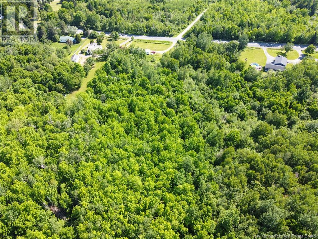 Lot 165 Route, Meductic, New Brunswick E6H 1B4 - Photo 9 - NB120769