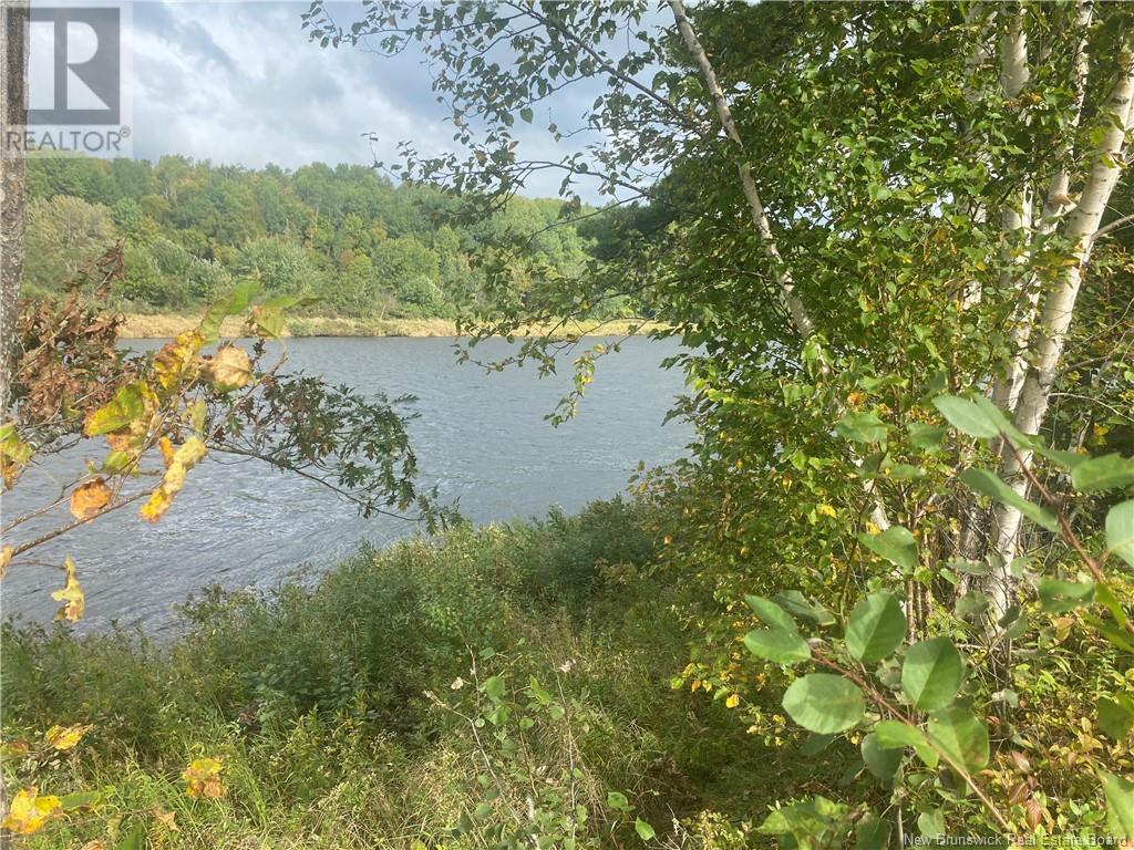 8562 Sqm Cains River Road, Upper Blackville, New Brunswick  E9B 2H8 - Photo 3 - NB121345