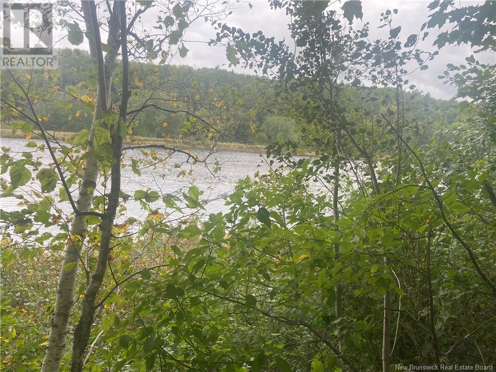 8562 Sqm Cains River Road, Upper Blackville, New Brunswick  E9B 2H8 - Photo 5 - NB121345
