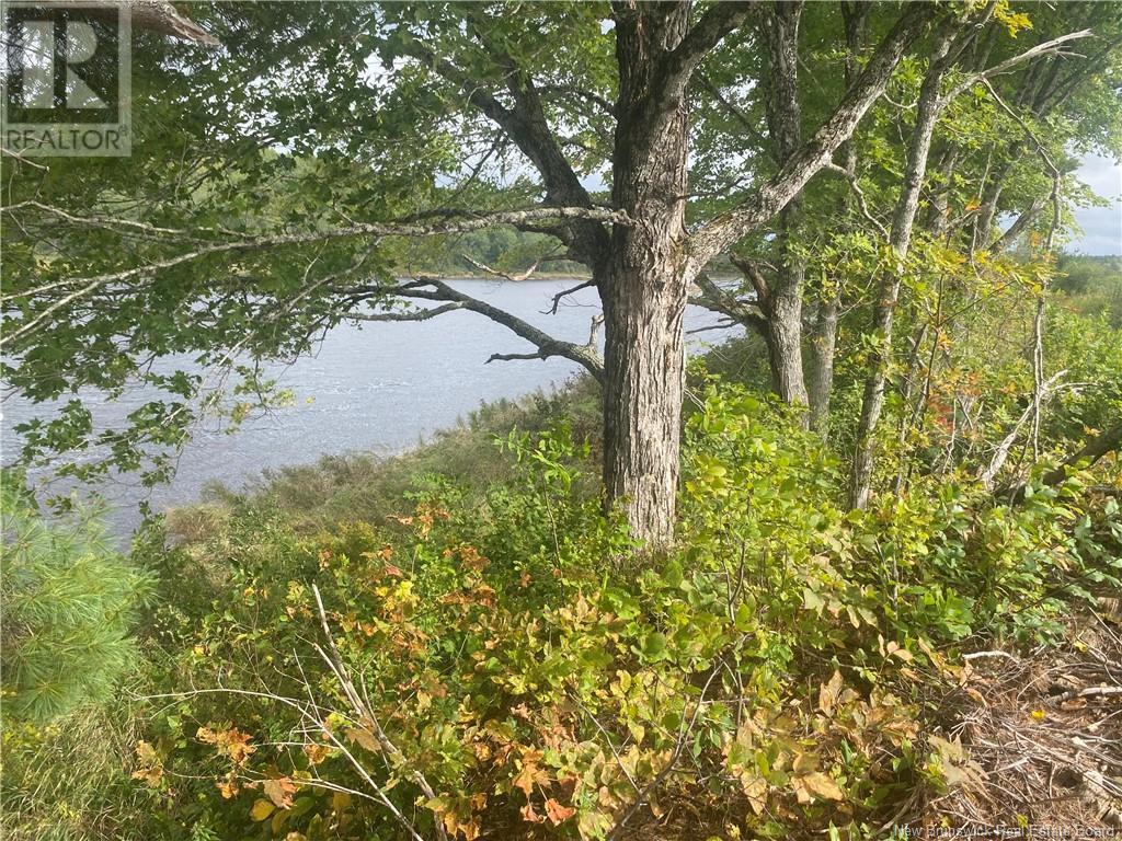 8562 Sqm Cains River Road, Upper Blackville, New Brunswick  E9B 2H8 - Photo 6 - NB121345