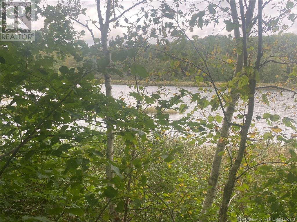 8562 Sqm Cains River Road, Upper Blackville, New Brunswick  E9B 2H8 - Photo 7 - NB121345