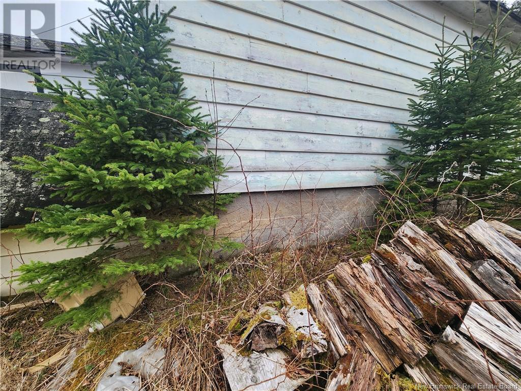 218 Route 4, Harvey, New Brunswick E6K 1W8 - Photo 14 - NB121141