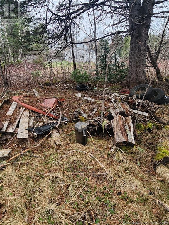 218 Route 4, Harvey, New Brunswick E6K 1W8 - Photo 15 - NB121141