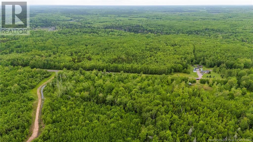 Lot 17-2 Collins Lake Road, Shemogue, New Brunswick  E4N 2N1 - Photo 13 - NB121209